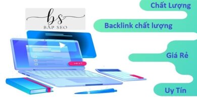 Dịch Vụ Backlink Chất Lượng